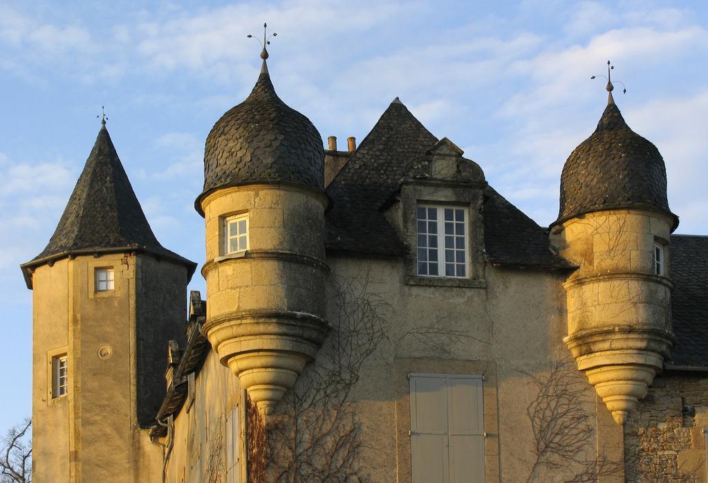 Chateau De Labro - Teritoria Onet-le-Château Εξωτερικό φωτογραφία